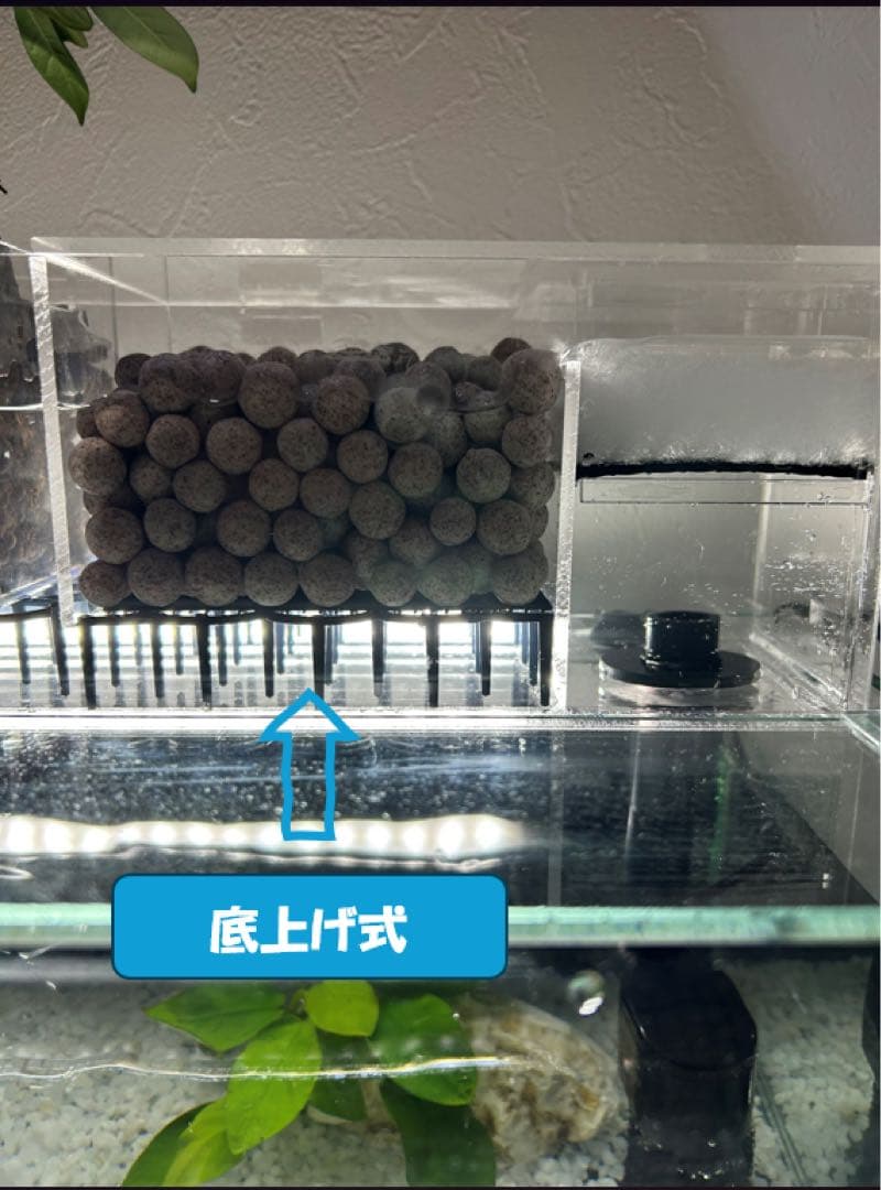 【格安】上部濾過アクアリウム水槽　アクアポニックス（観葉植物）仕様