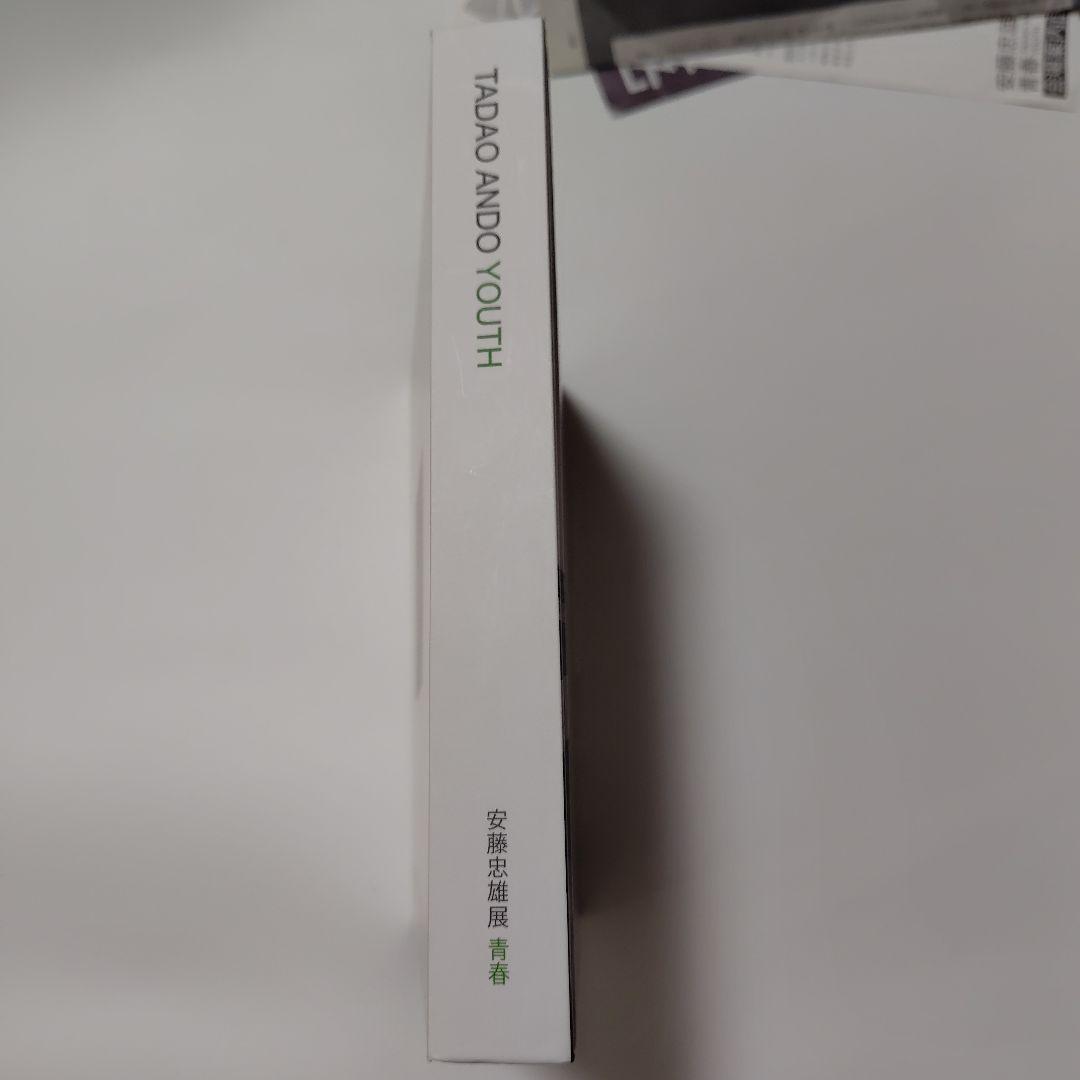 限定お値下げ！生サイン入り　TADAO ANDO YOUTH　ドローイング入り