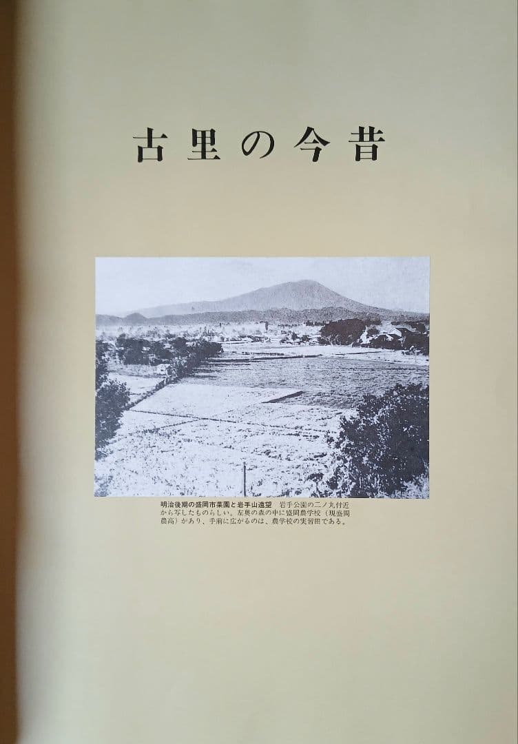 目でみる 岩手一世紀　岩手日報創刊110周年記念