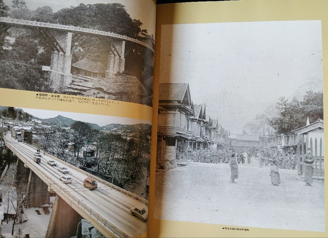 目でみる 岩手一世紀　岩手日報創刊110周年記念