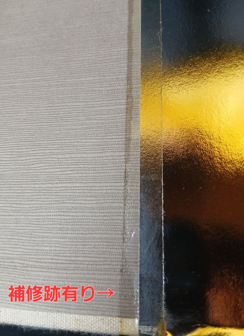 目でみる 岩手一世紀　岩手日報創刊110周年記念