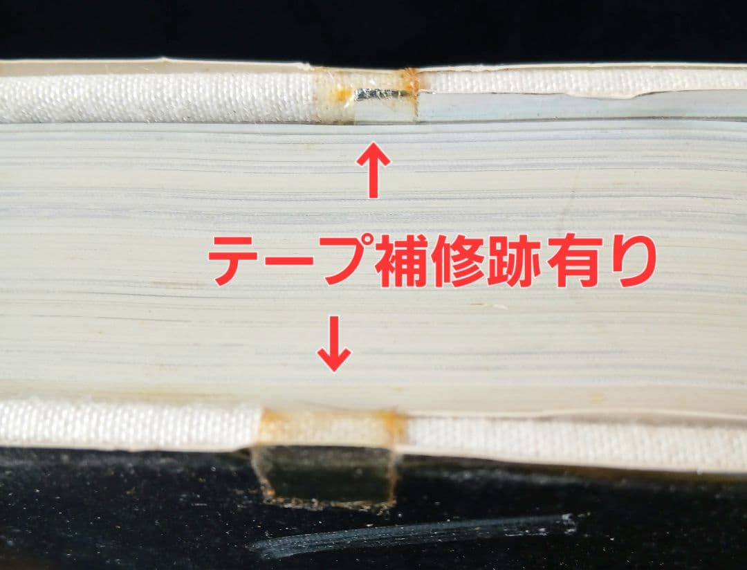 目でみる 岩手一世紀　岩手日報創刊110周年記念