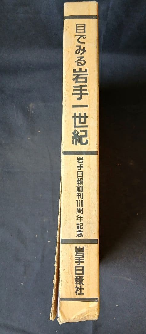 目でみる 岩手一世紀　岩手日報創刊110周年記念