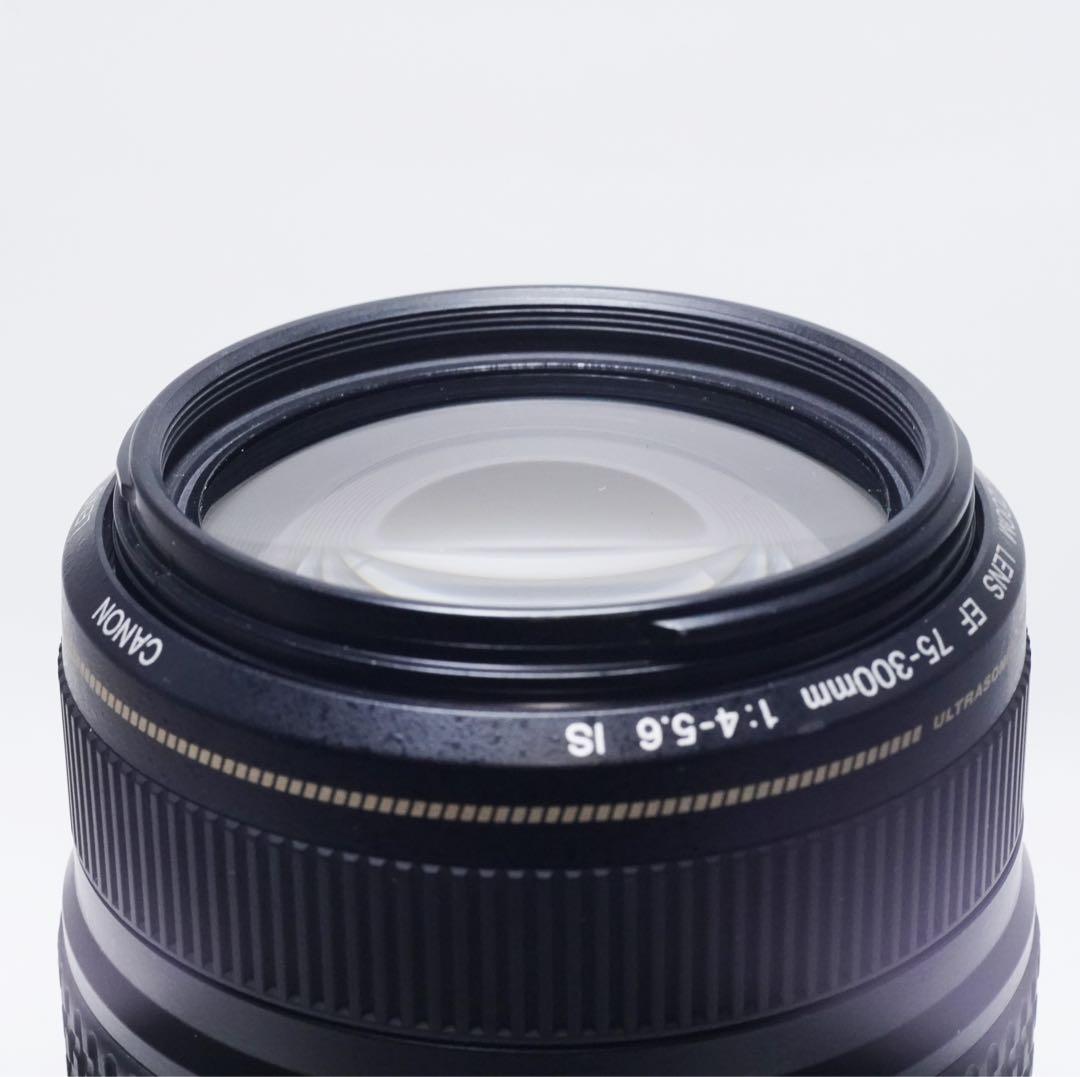 極美品 Canon EF 75-300mm f4-5.6 IS usm