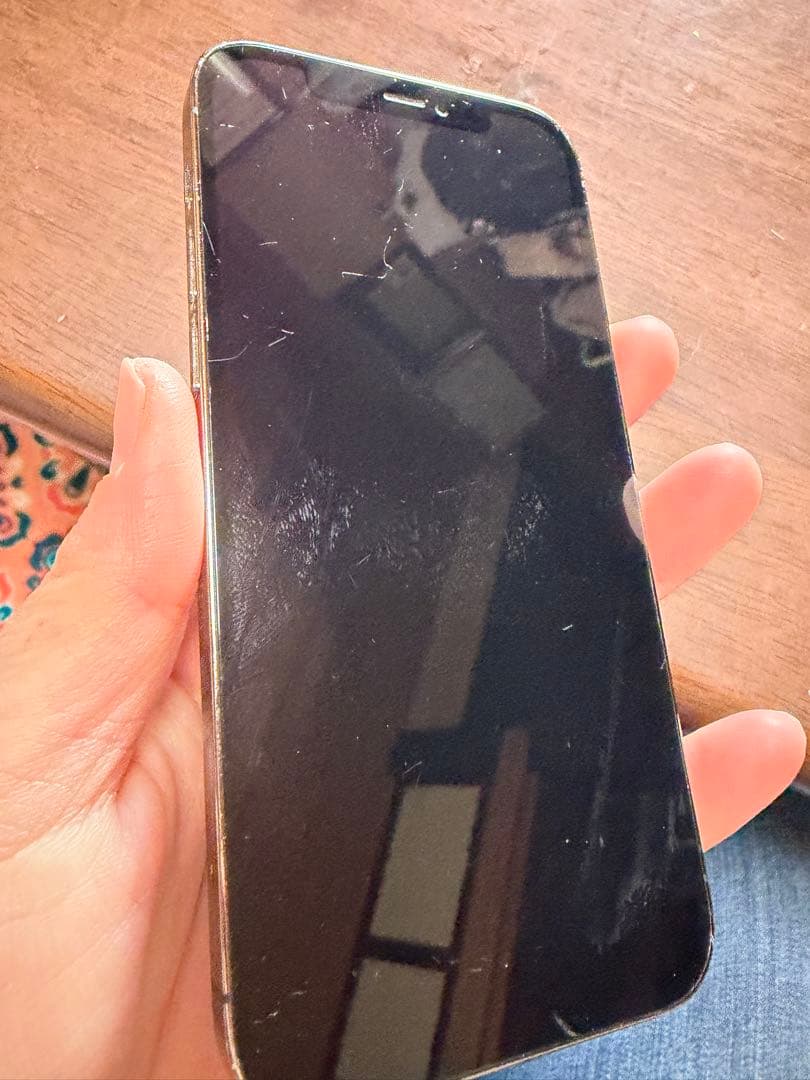 Apple iPhone 12 Pro 本体