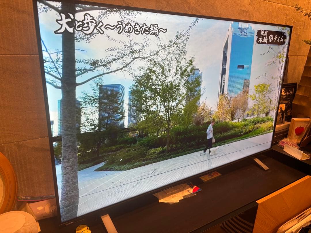 4K液晶TV REGZA 55型55C350X; ワケアリ:商品の説明ご覧下さい