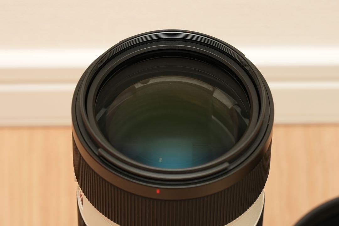 【シュウ様】SONY FE70-200mm GM OSS II