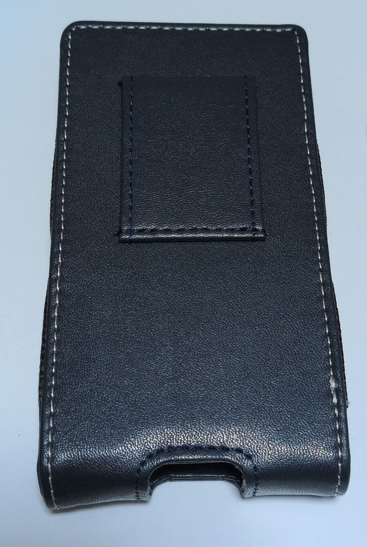 EAGLE VISION GPSナビ NEXT２