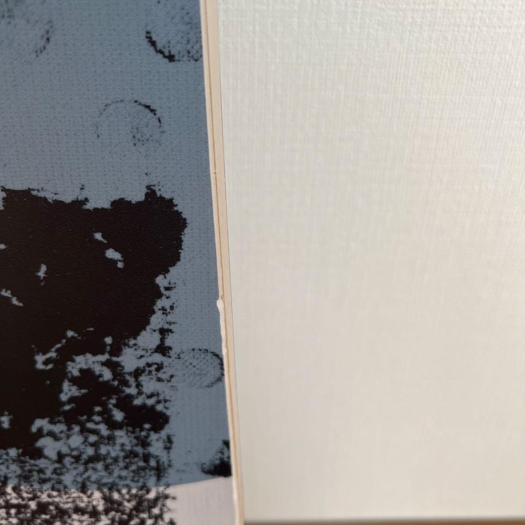 スノーボード147 板　yonex nextage