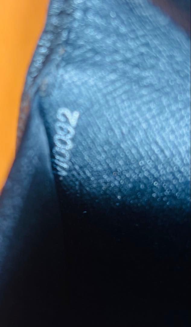 Louis Vuitton タイガ　二つ折り財布 ブラック