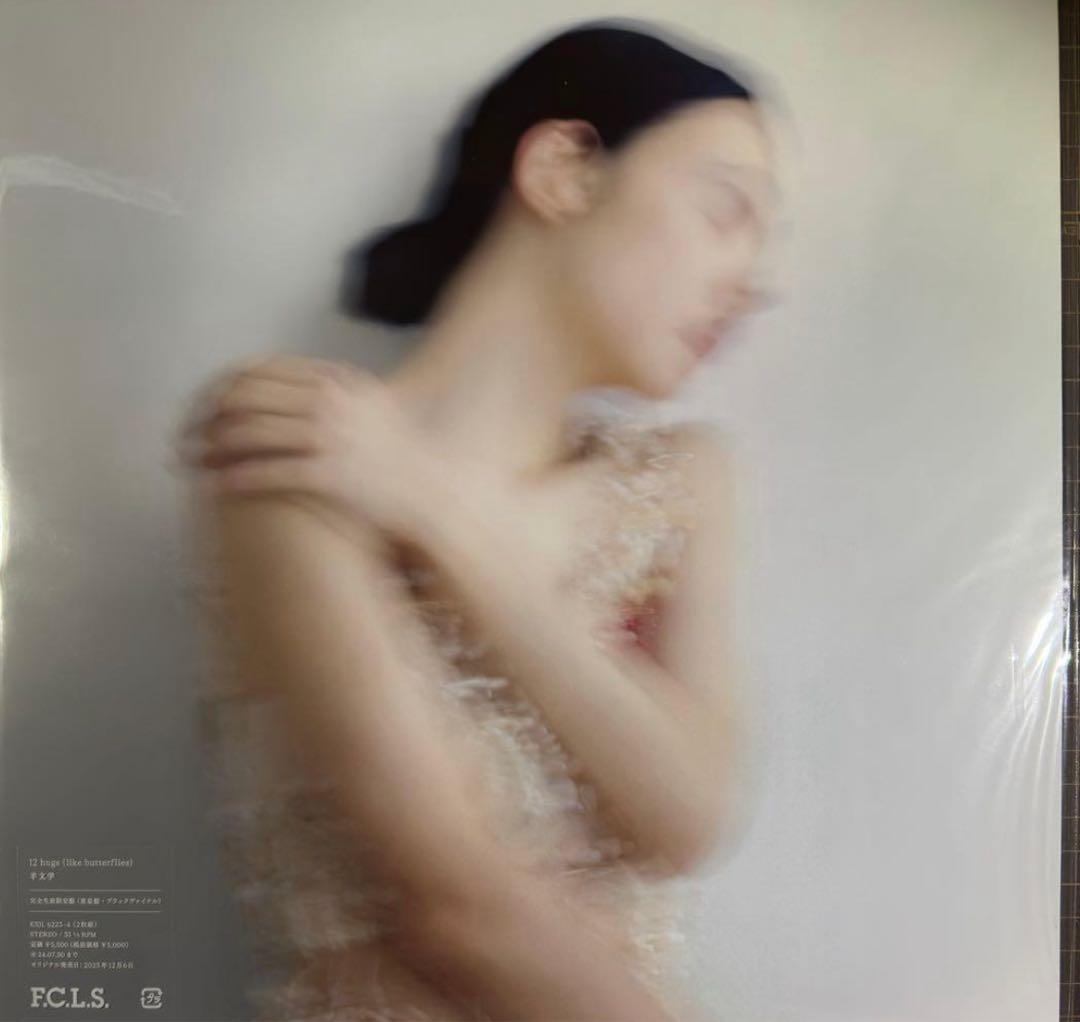 新品 羊文学 / 12 hugs(like butterflies) 2LP