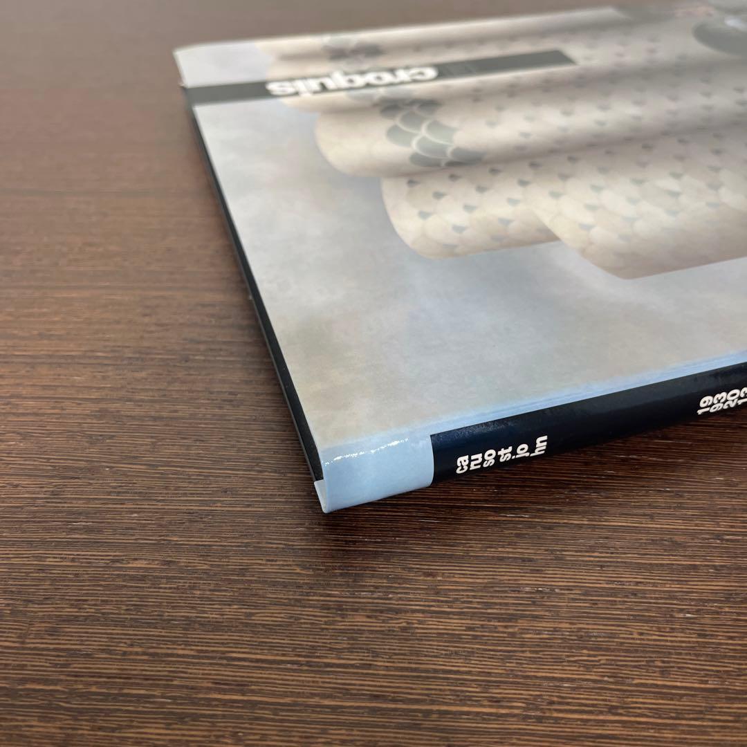 アート・デザイン・音楽 CARUSO ST JOHN 1993-2013 El Croquis