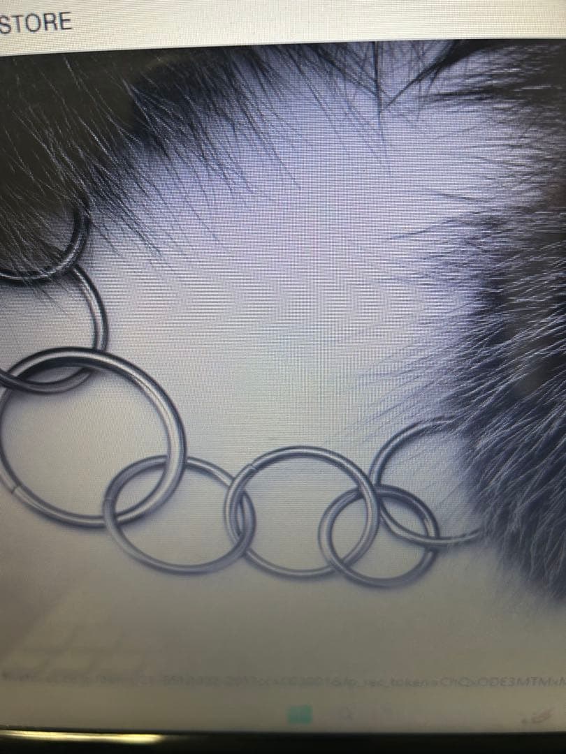 ⭐︎バジーレ28⭐︎今季フィンランドシルバーフォックスリアルファーティペット