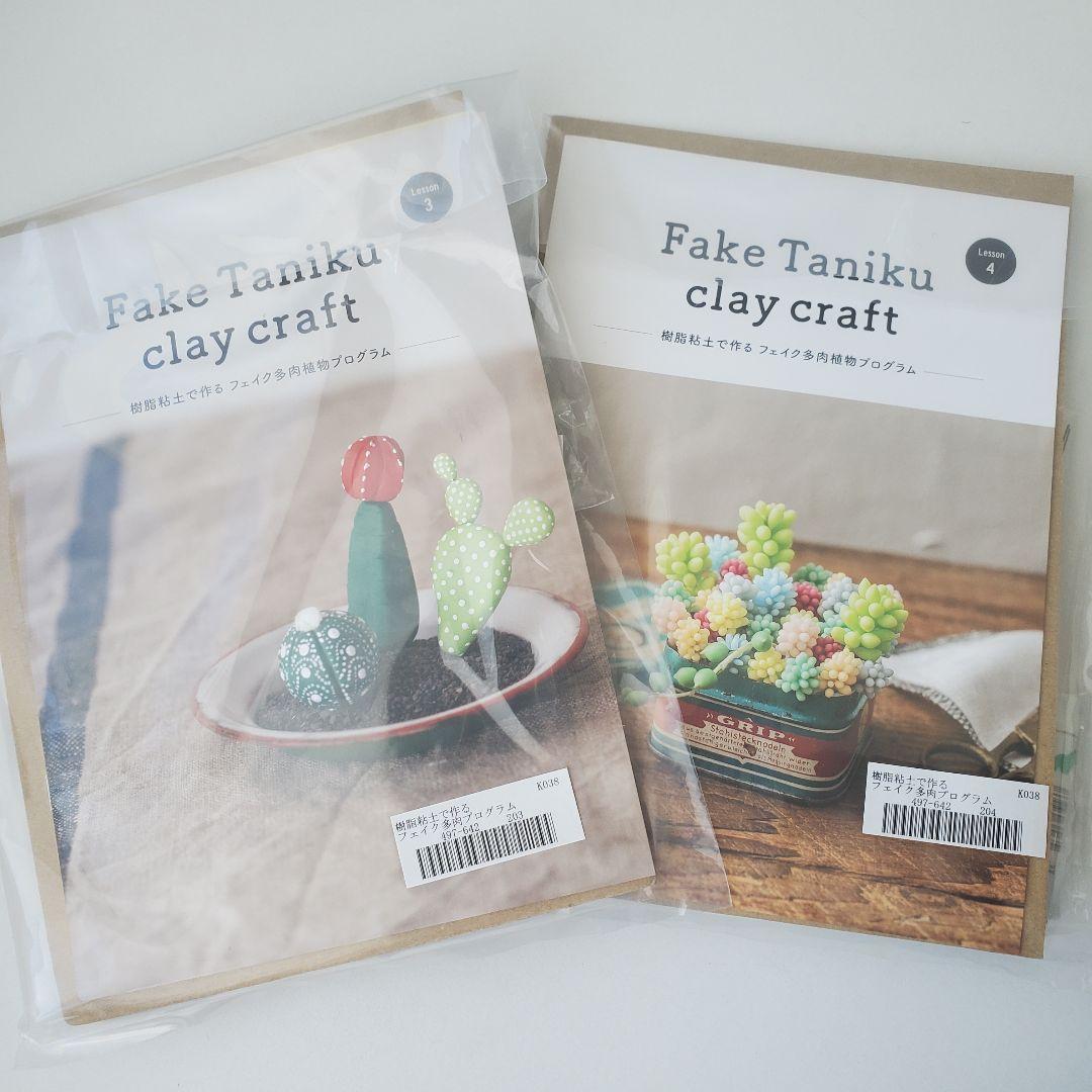 フェリシモ　樹脂粘土で作るフェイク多肉植物プログラム1~6