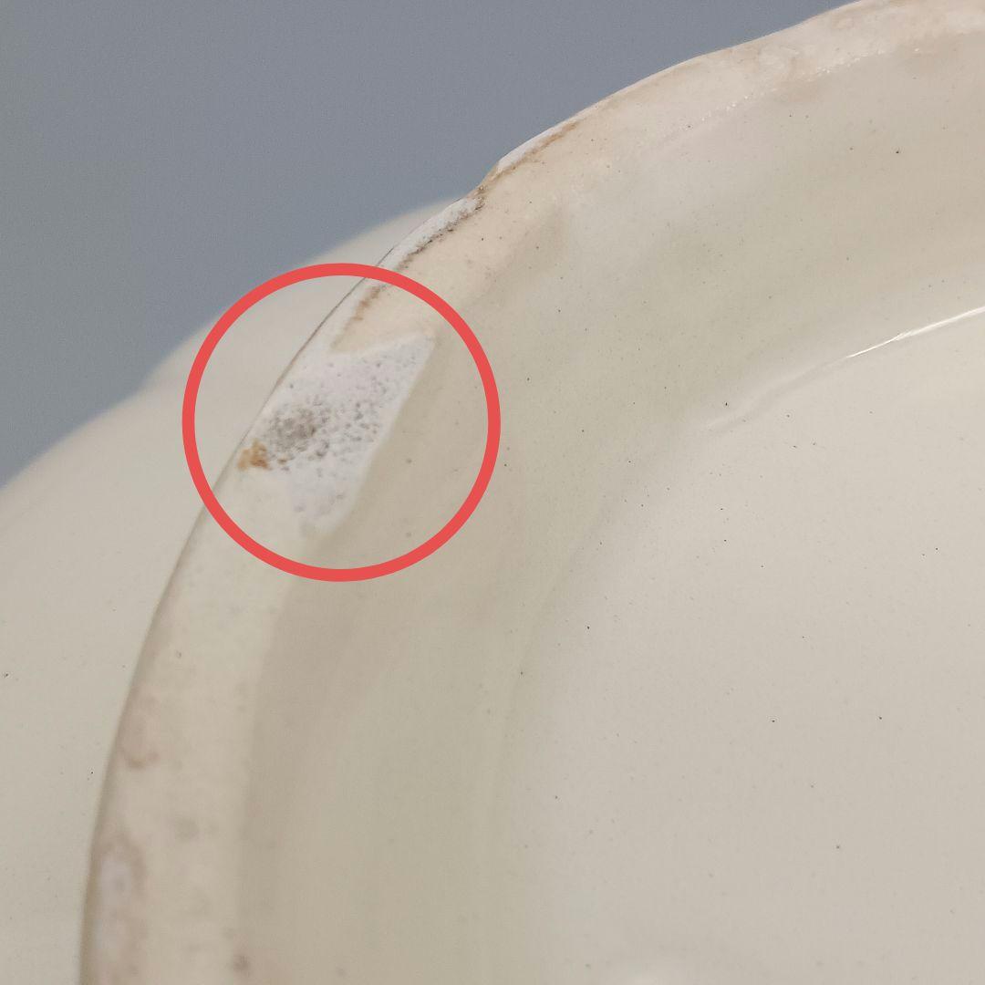 フランス サルグミンヌ スーピエール 花リム ディゴワン