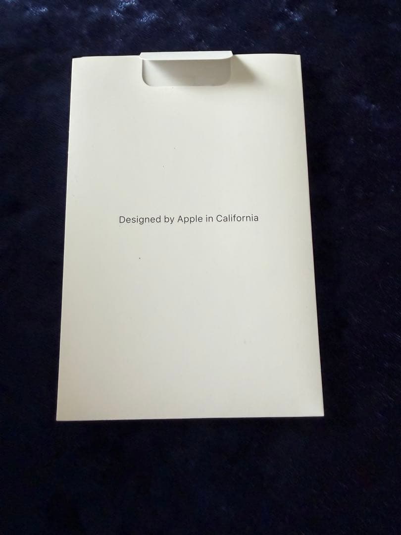 Apple iPadmini5スペースグレー 本体