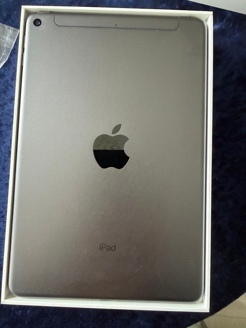 Apple iPadmini5スペースグレー 本体