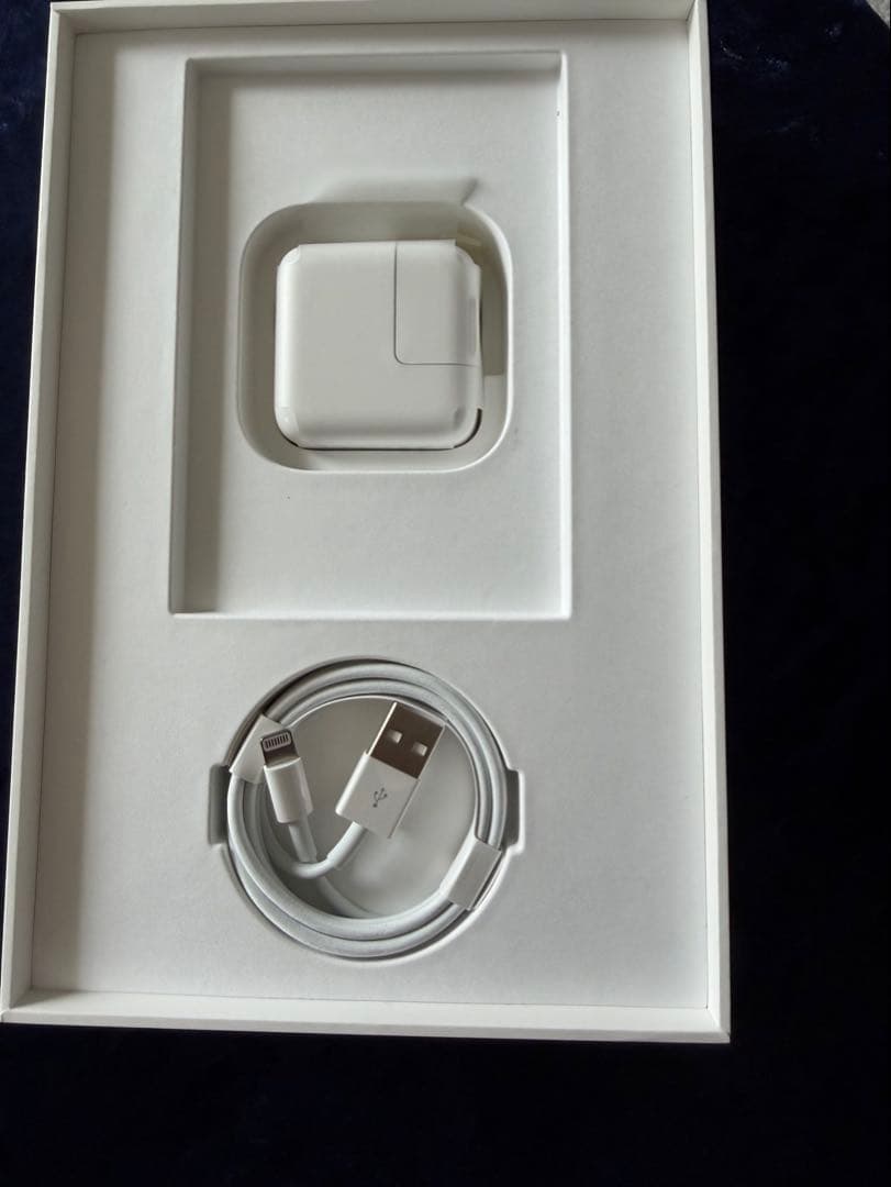 Apple iPadmini5スペースグレー 本体