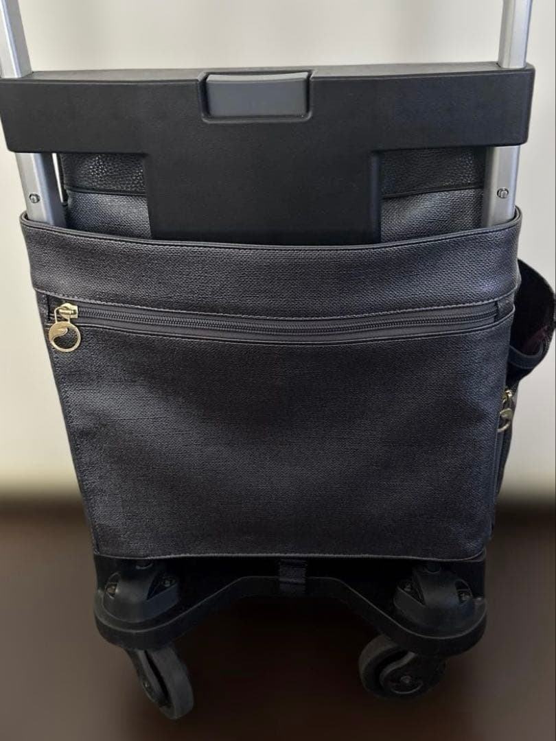 ⭐️未使用級⭐️aceキャリーバッグ ナイロンキャリーケース