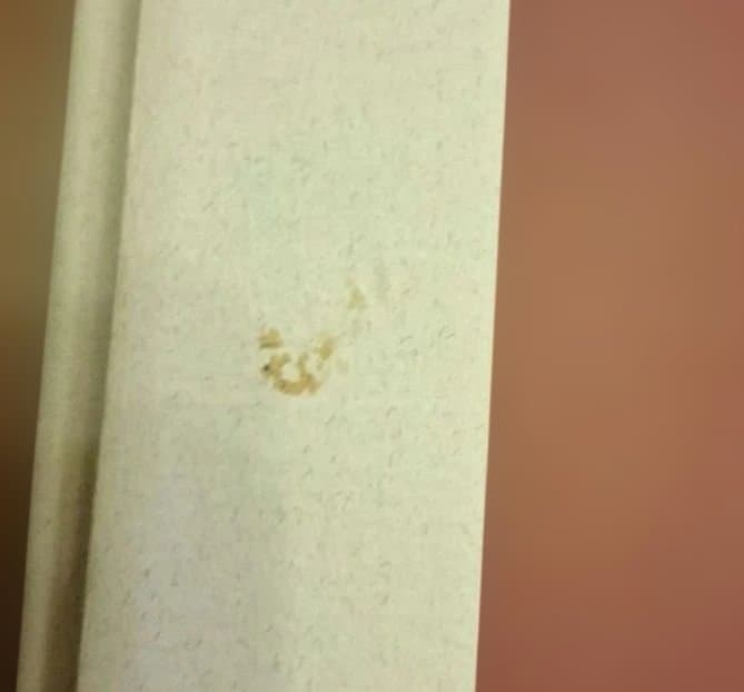 「 トリスタンとイゾルデ」「 ニュルンベルクのマイスタージンガー」白水社