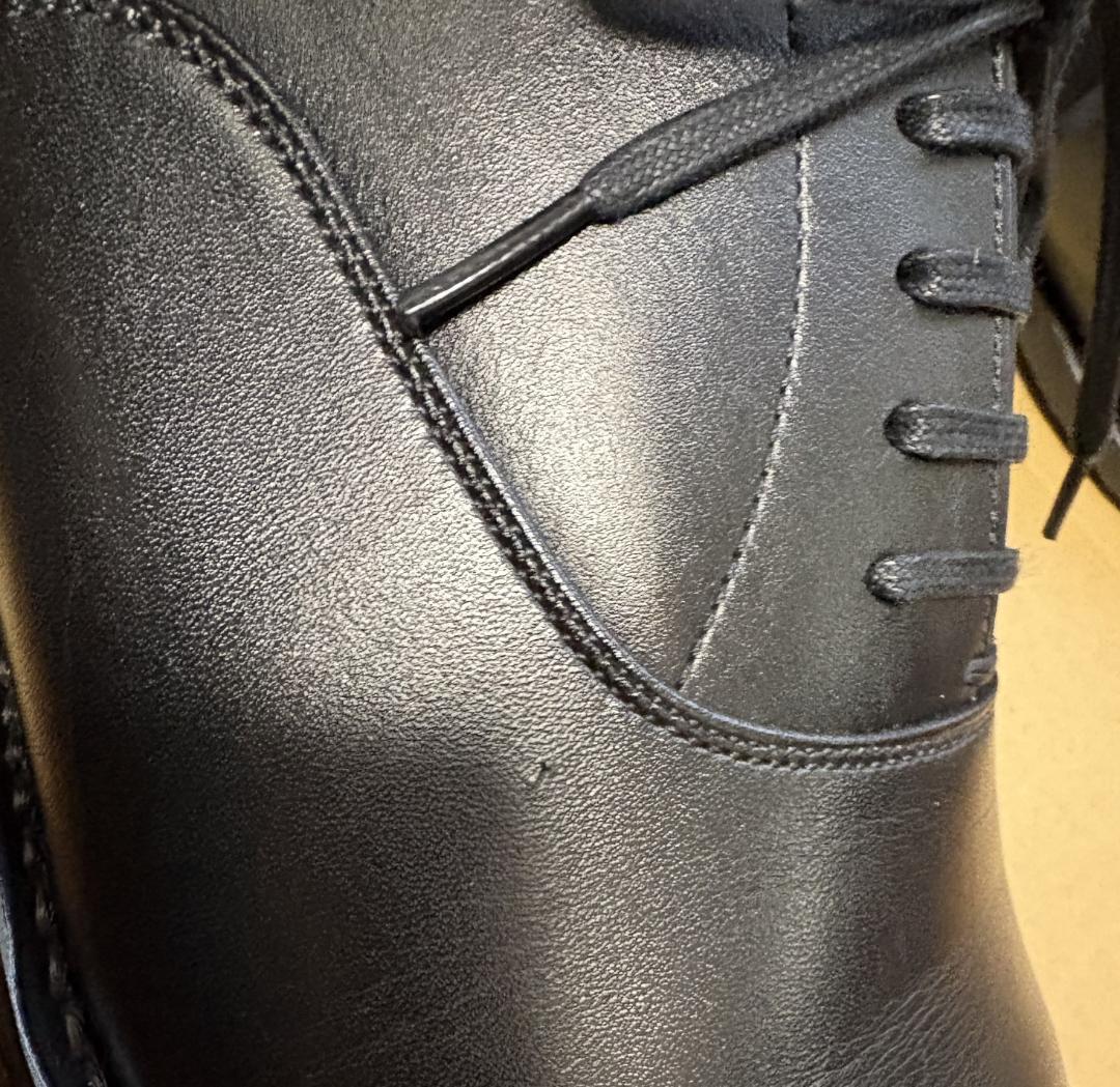 スコッチグレイン シャインオアレイン R1813BL（E） 25cm 撥水