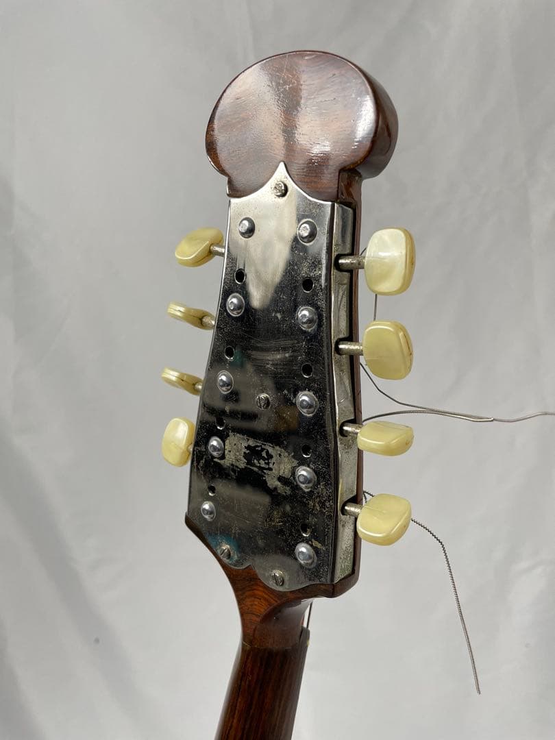 ラファエレ・ カラーチェ マンドリン No.24