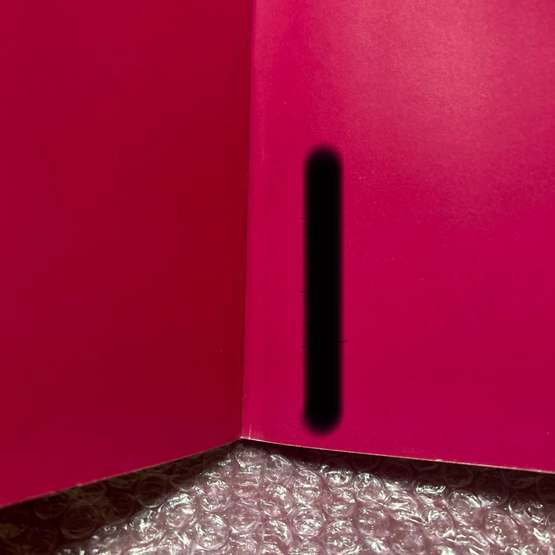 枯れていく花 布花 山上るい