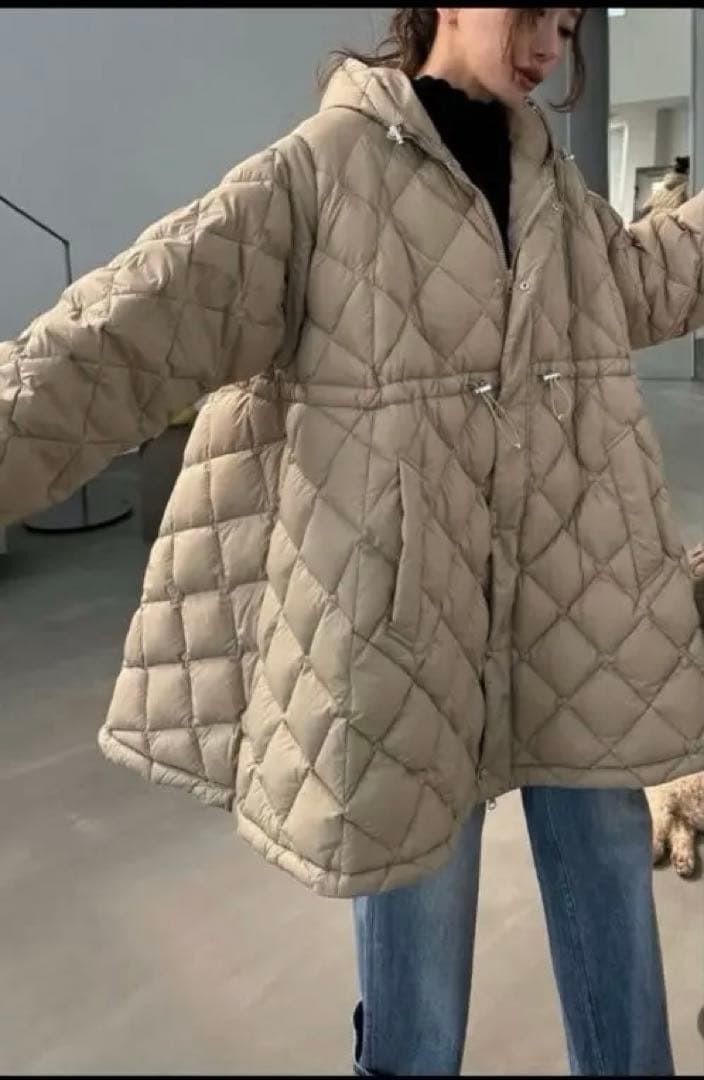 TAION x WILLFULLY down coat s size ベージュ