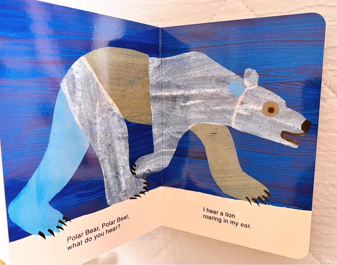 11冊セットEric Carle（エリック・カール）ボードブック絵本教材幼児向け