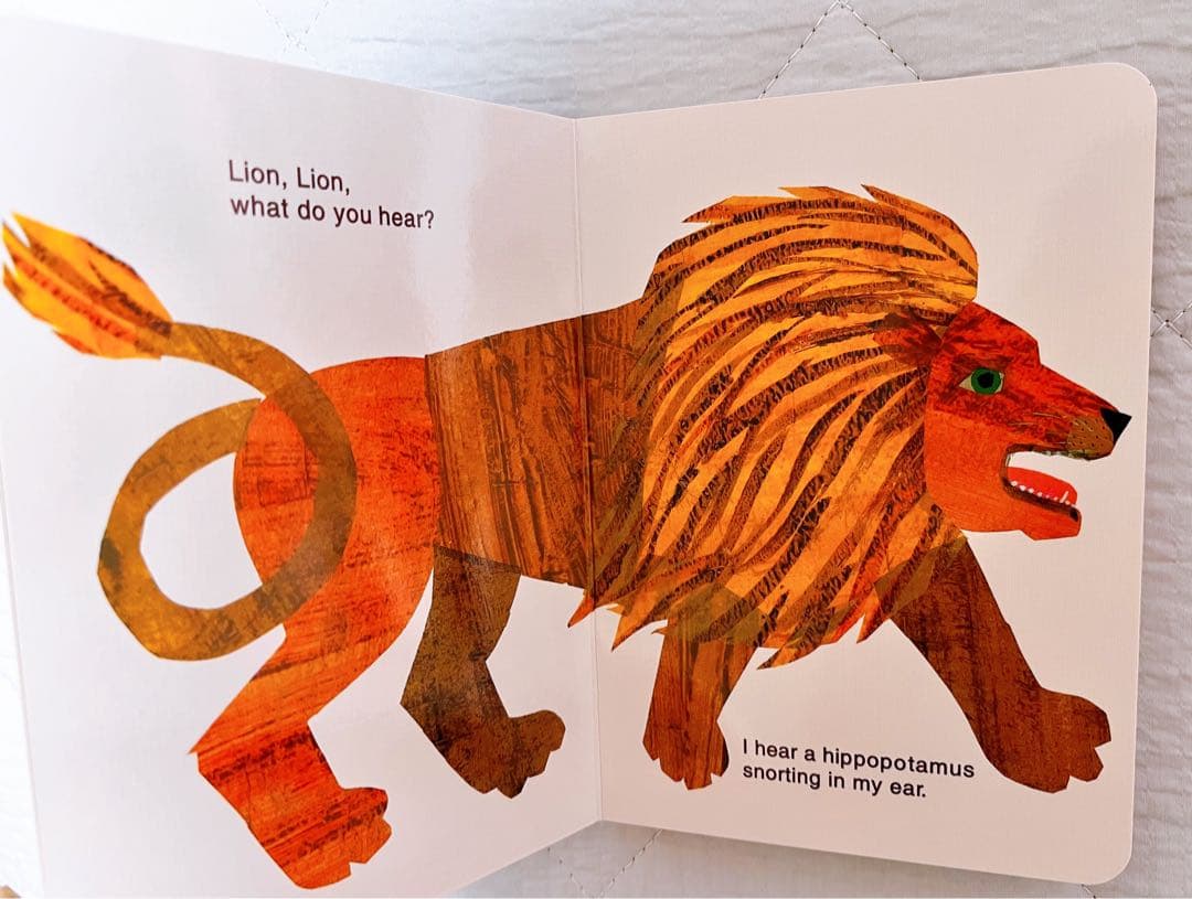 11冊セットEric Carle（エリック・カール）ボードブック絵本教材幼児向け