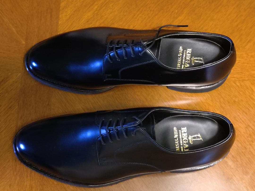 靴 REGAL GEOX W254 27EEE