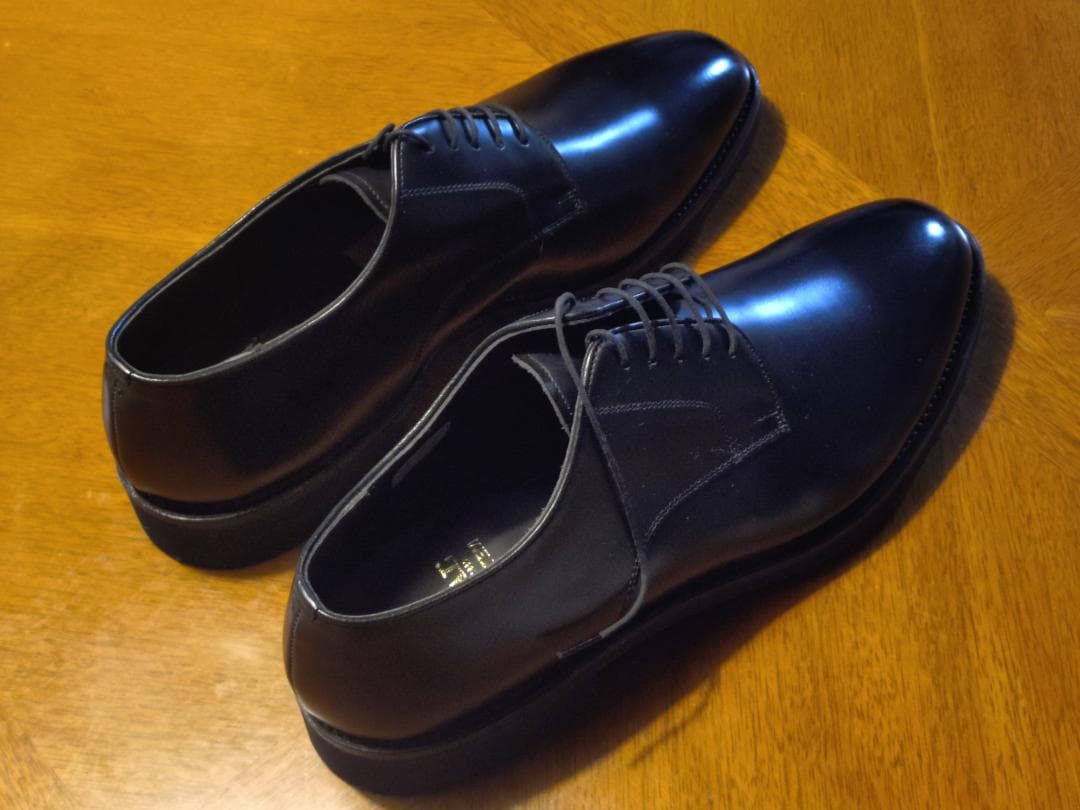 靴 REGAL GEOX W254 27EEE