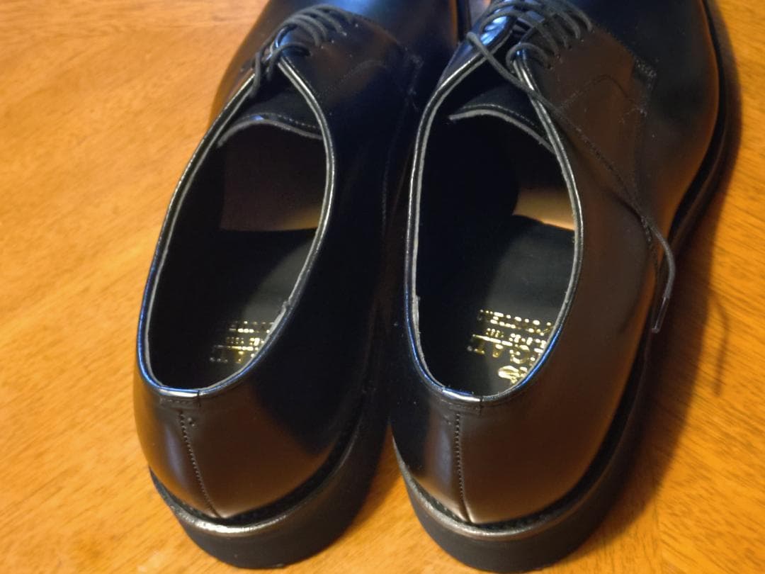 靴 REGAL GEOX W254 27EEE