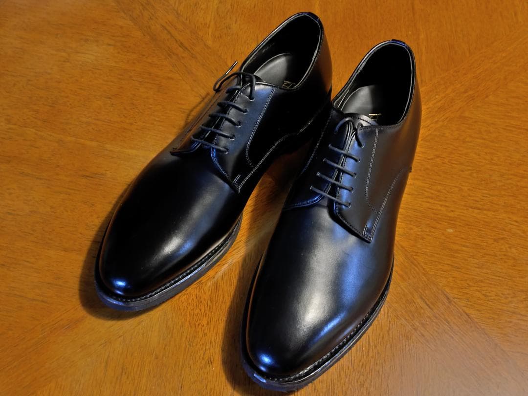 靴 REGAL GEOX W254 27EEE