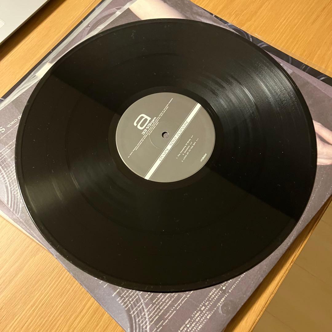 荻野目洋子 yoko oginome レコード chains