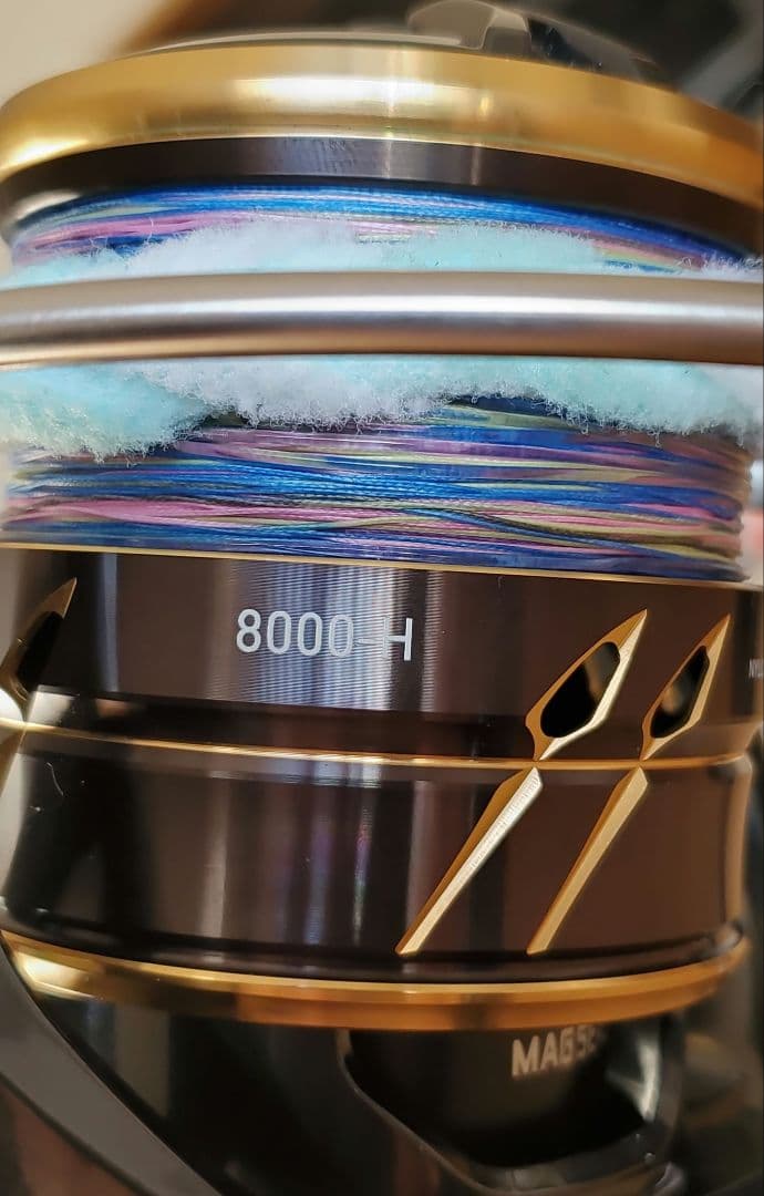 ダイワ 22カルディアSW8000-H