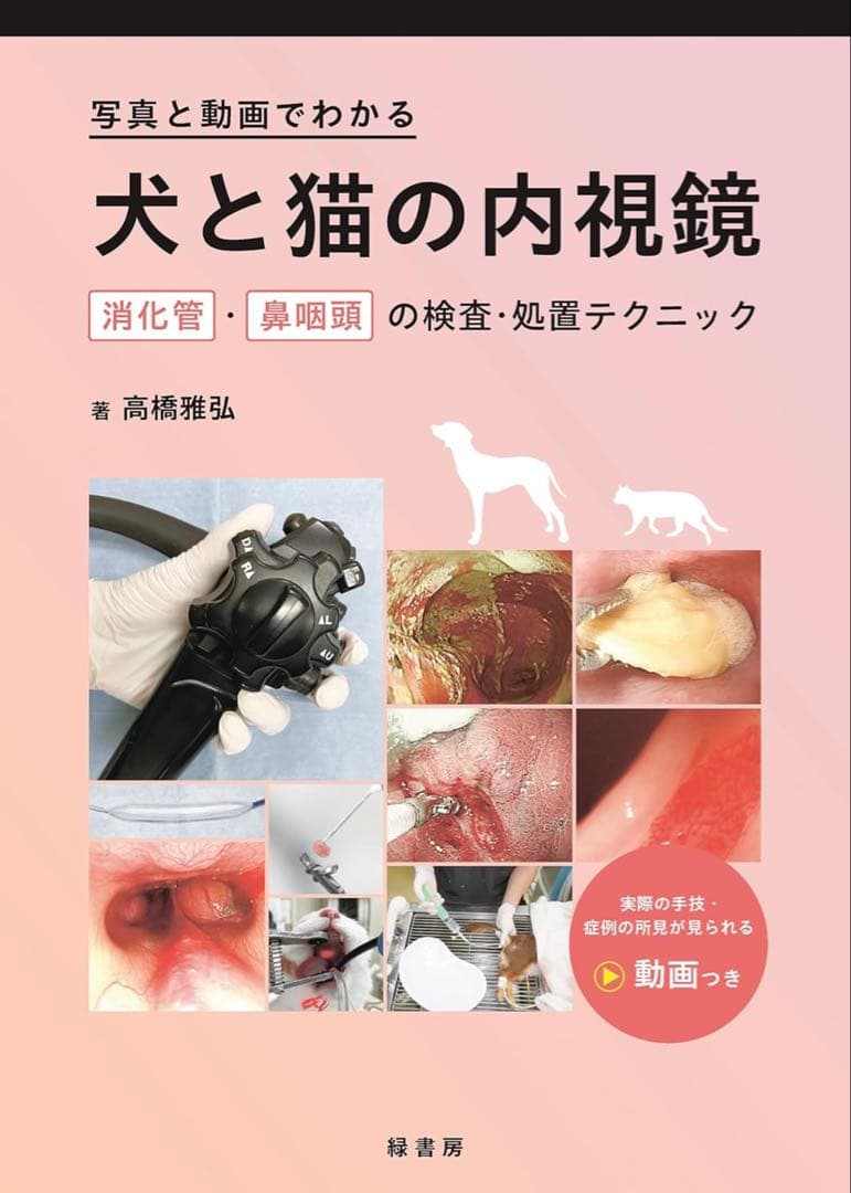 裁断済み　犬と猫の内視鏡　獣医師