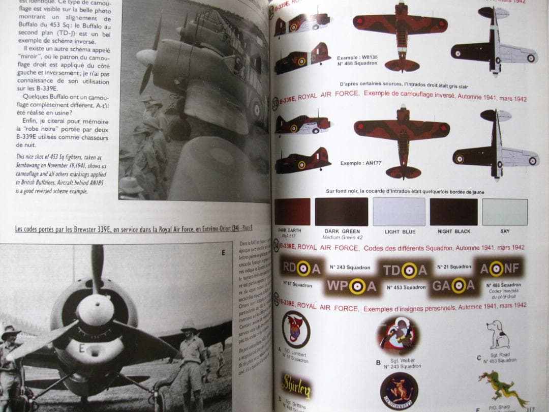 洋書 BREWSTER BUFFALO / Jean-Louis Couston