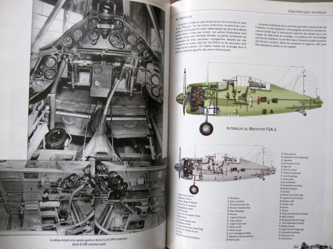 洋書 BREWSTER BUFFALO / Jean-Louis Couston