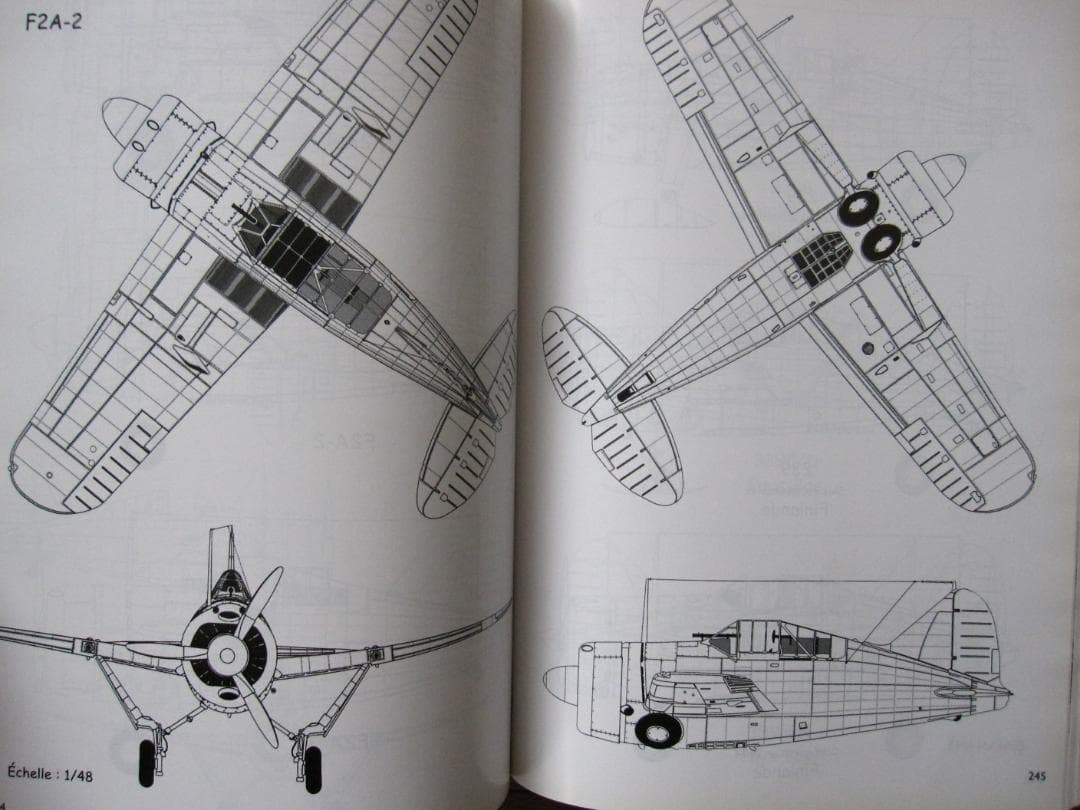 洋書 BREWSTER BUFFALO / Jean-Louis Couston