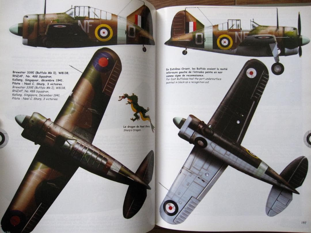 洋書 BREWSTER BUFFALO / Jean-Louis Couston