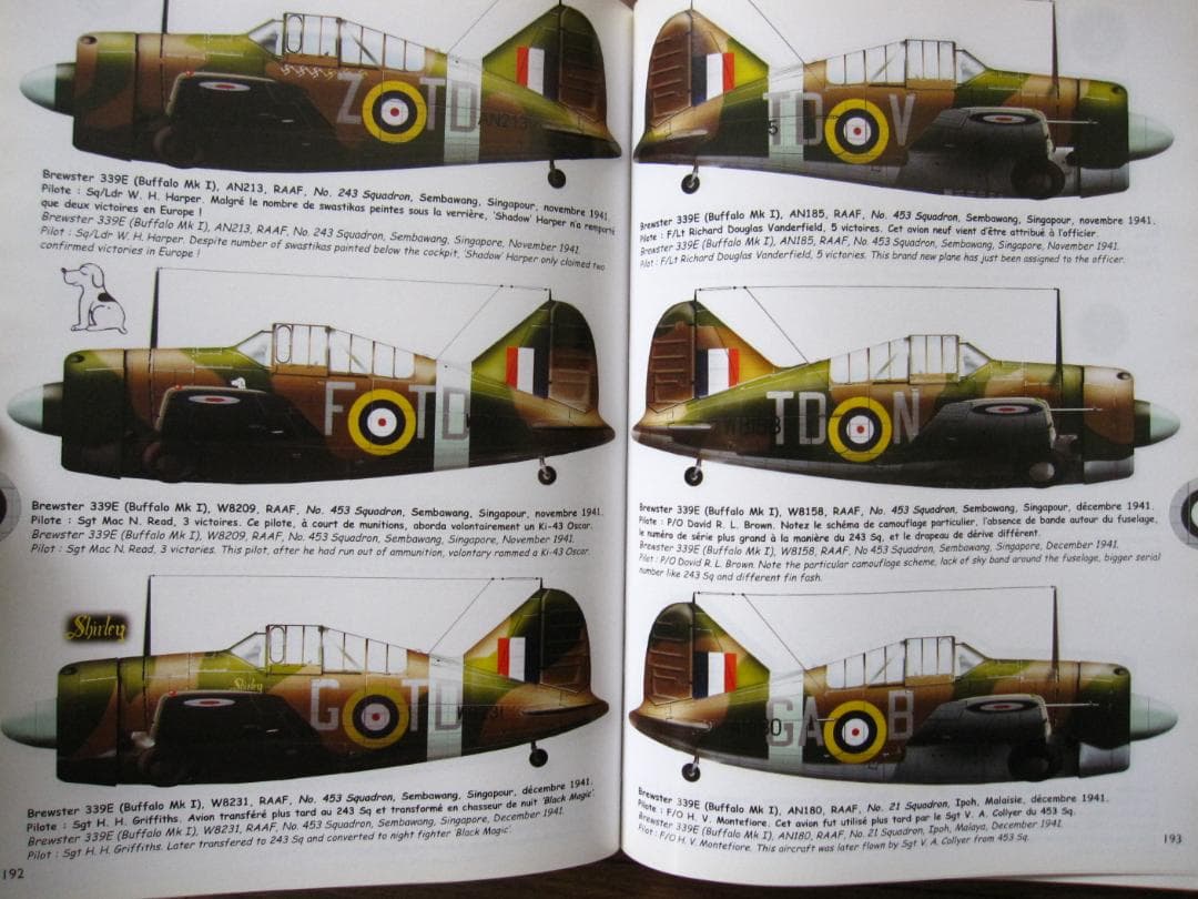 洋書 BREWSTER BUFFALO / Jean-Louis Couston