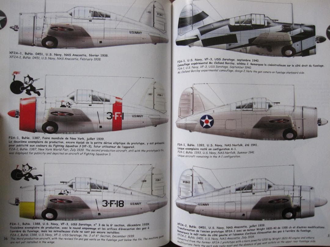 洋書 BREWSTER BUFFALO / Jean-Louis Couston