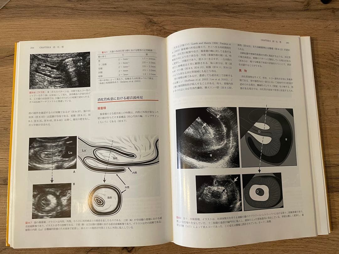 小動物の超音波診断アトラス