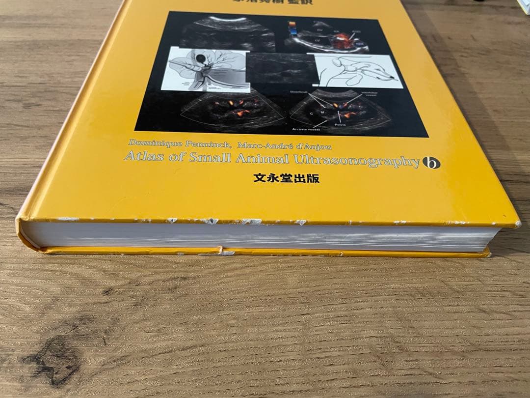 小動物の超音波診断アトラス