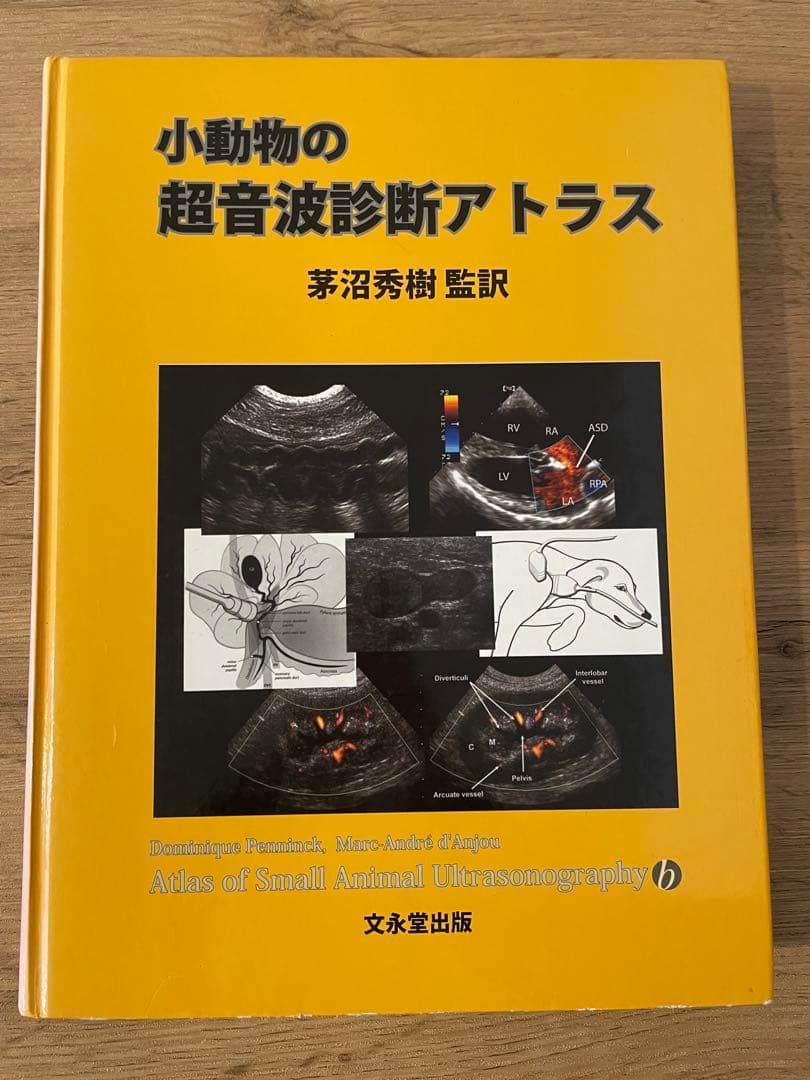 小動物の超音波診断アトラス