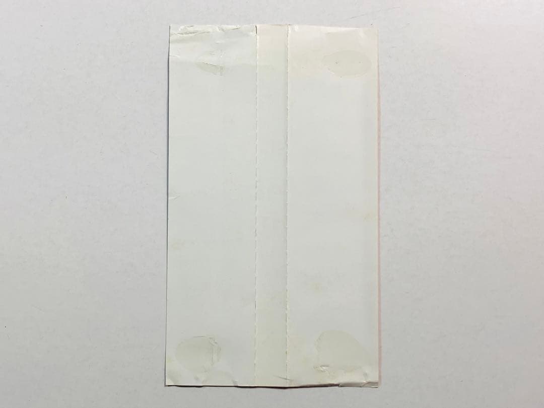 帯付☆ゼントリックス/フォー・フーズ・アドバンテージ 国内盤 廃盤レア 希少