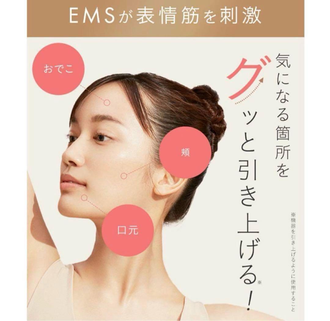 SALONIA EMS LIFT BRUSH 美顔器