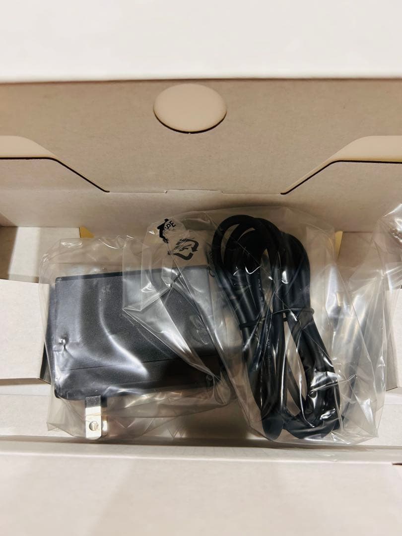 Nintendo Switch Lite グレー 本体　動作確認済み