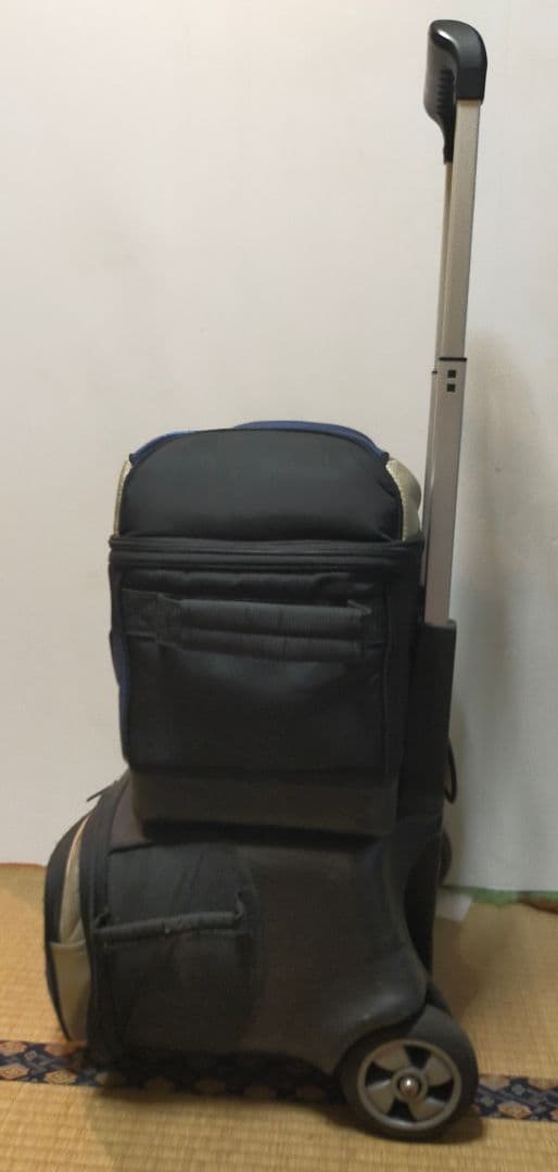 た*て様 4個入れバッグ